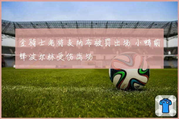 金骑士老将麦纳布被罚出场 小鸭前锋波尔林受伤离场