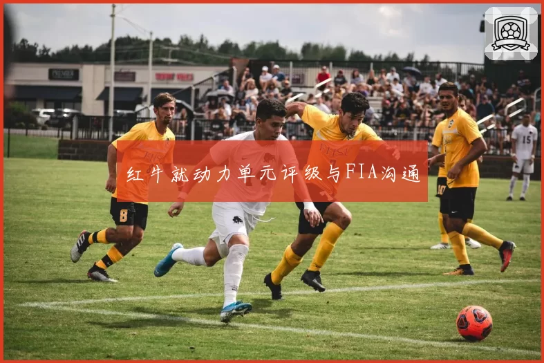 红牛就动力单元评级与FIA沟通